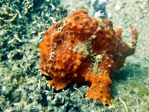 IMG_7136_ed_72
